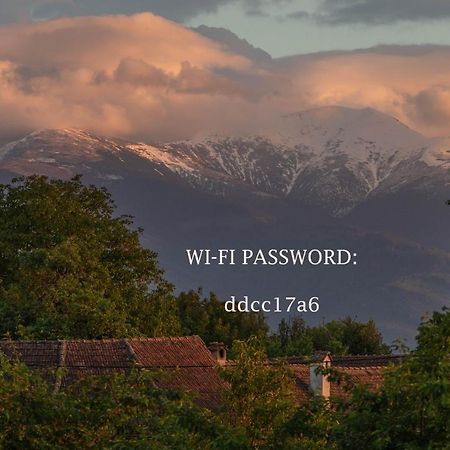 Fagaras Cosy Flat Villa Екстериор снимка