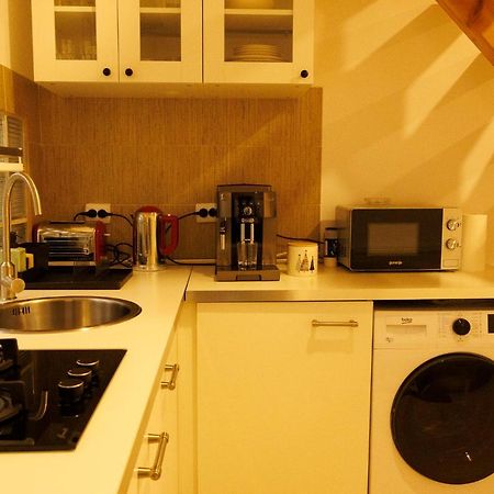 Fagaras Cosy Flat Villa Екстериор снимка