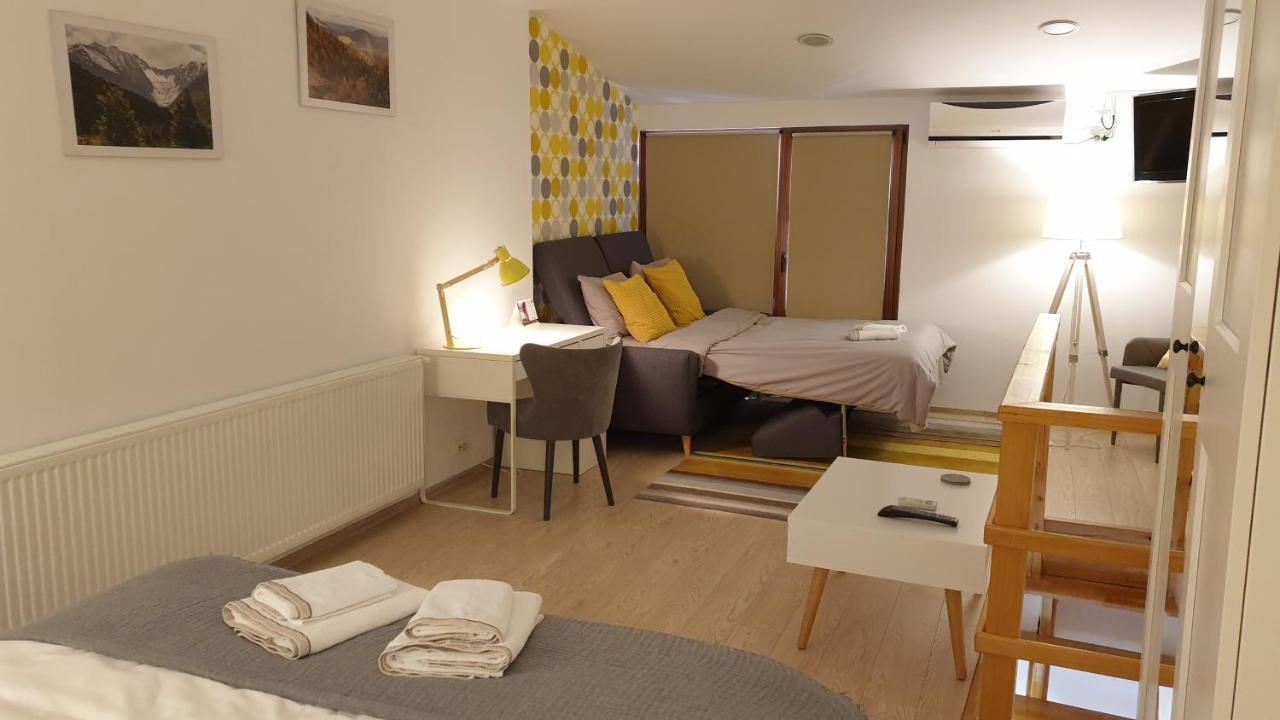 Fagaras Cosy Flat Villa Екстериор снимка
