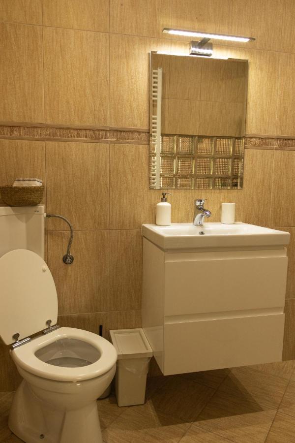 Fagaras Cosy Flat Villa Екстериор снимка