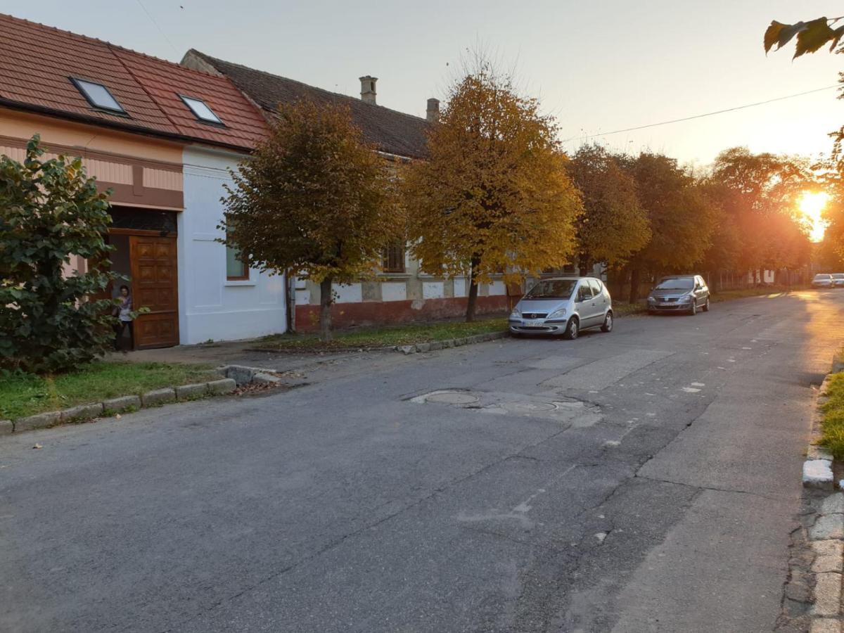 Fagaras Cosy Flat Villa Екстериор снимка